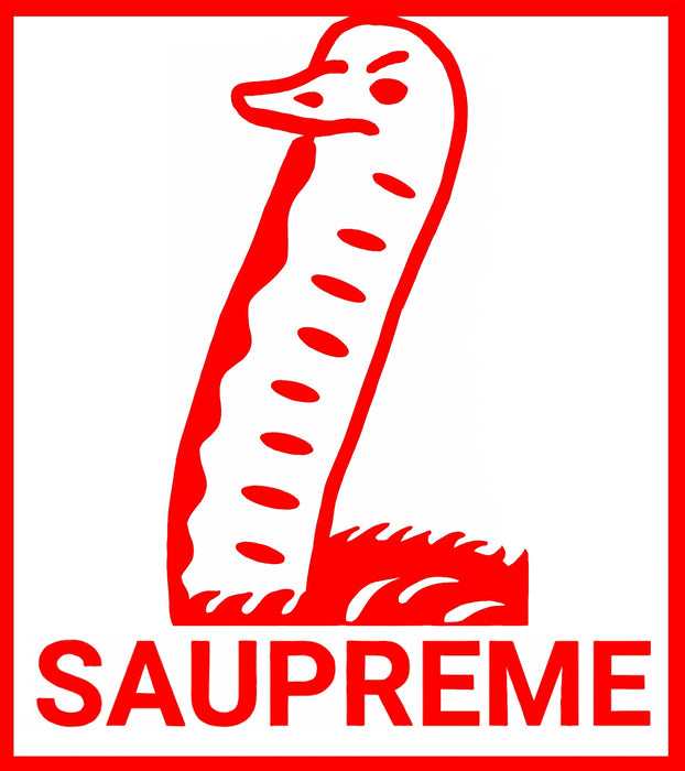 LIGUE MAJEURE DE SAAUTRICH